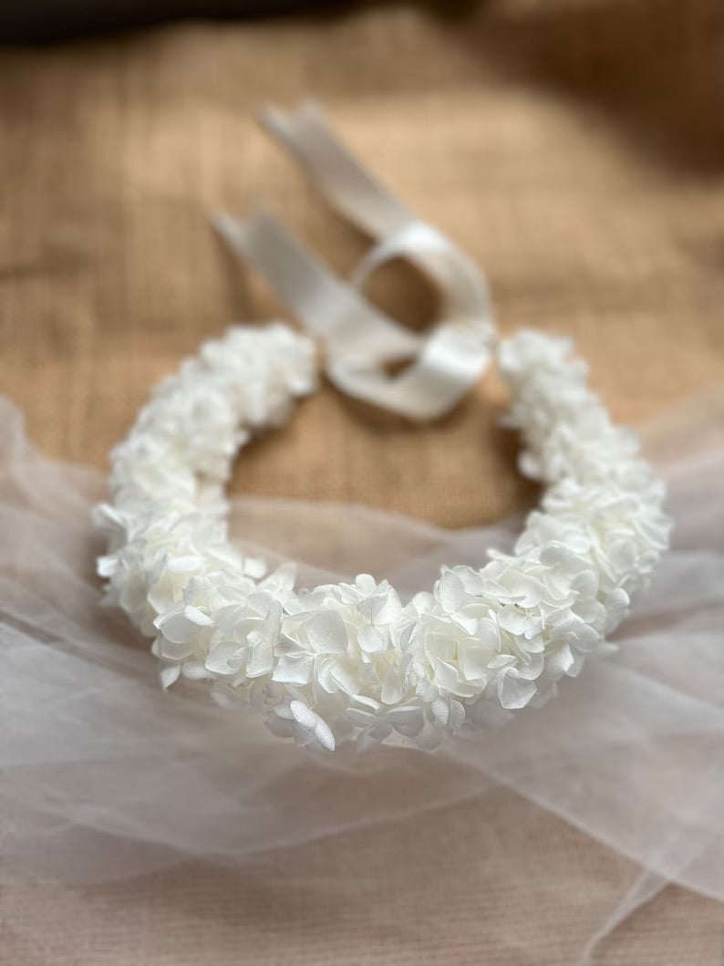 Preserved Baby's Breath Flower Off-white,cream,ivory Wedding